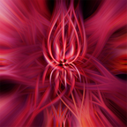 Endless Time Loop Collection